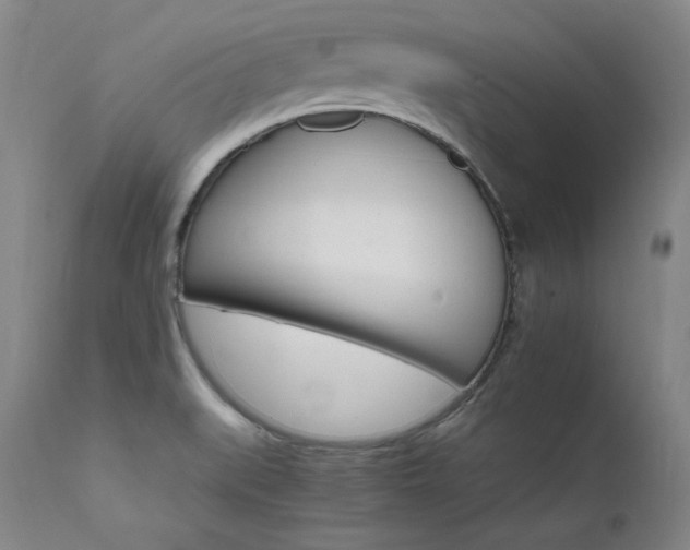 X0000111511519200907141324