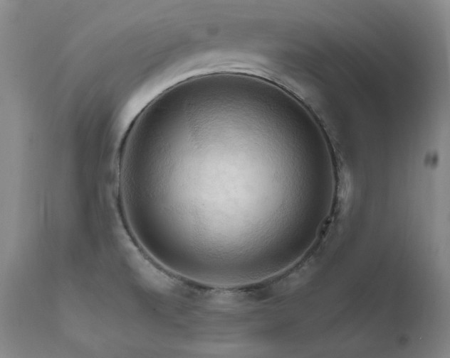 X0000111511520200907141324