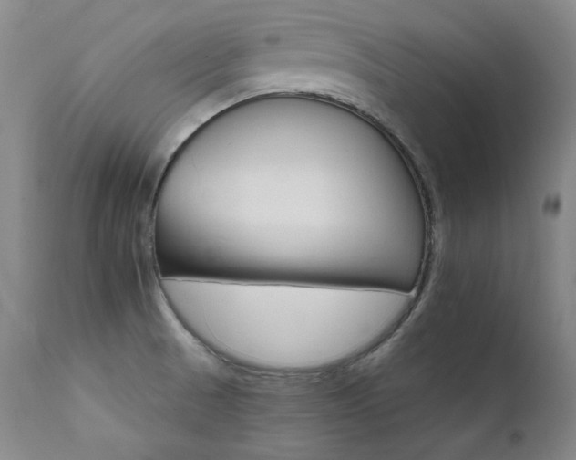 X0000111511521200907141324