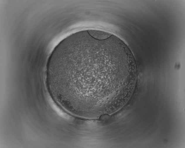 X0000111511523200907141324