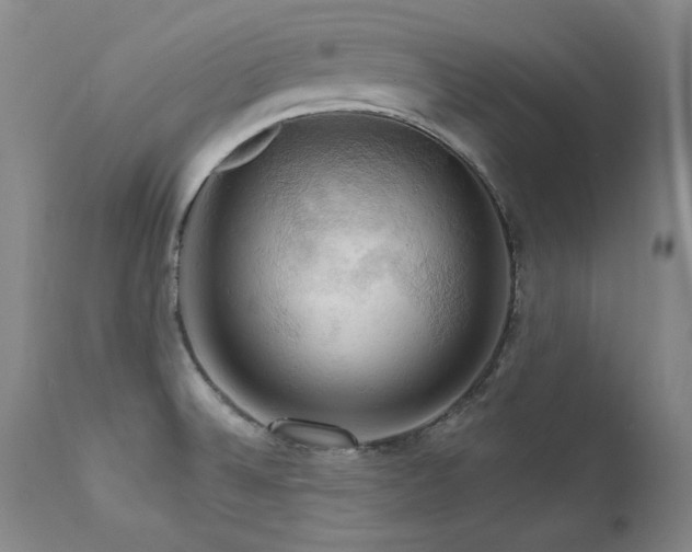 X0000111511524200907141324
