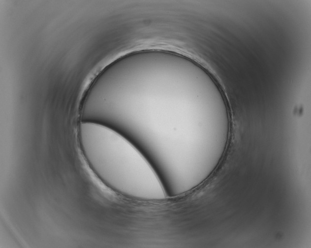 X0000111511525200907141324