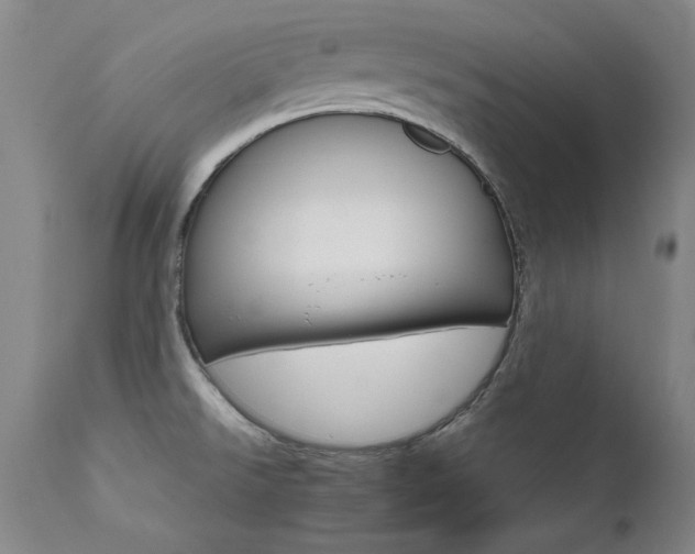 X0000111511526200907141324