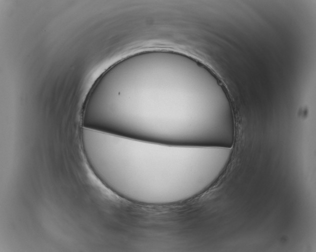 X0000111511527200907141324