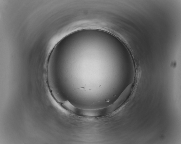 X0000111511528200907141324