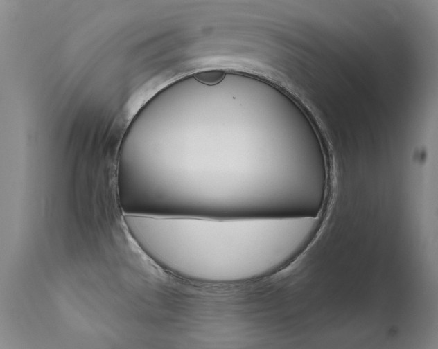 X0000111511529200907141324