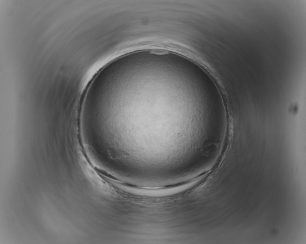 X0000111511530200907141324
