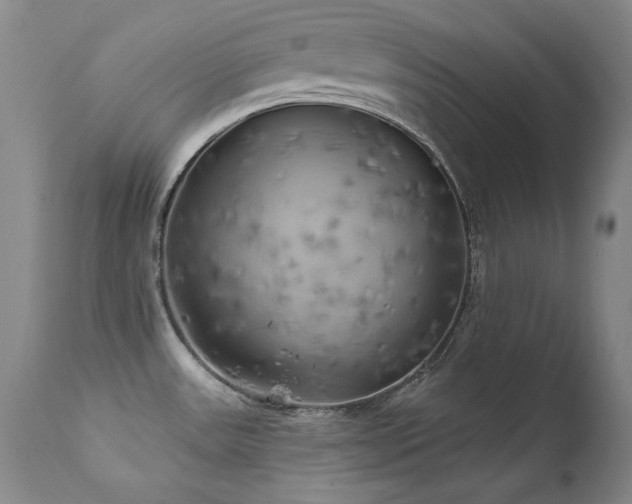 X0000111511531200907141324
