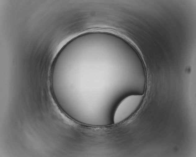 X0000111511533200907141324