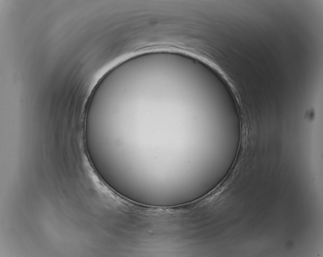 X0000111511534200907141324