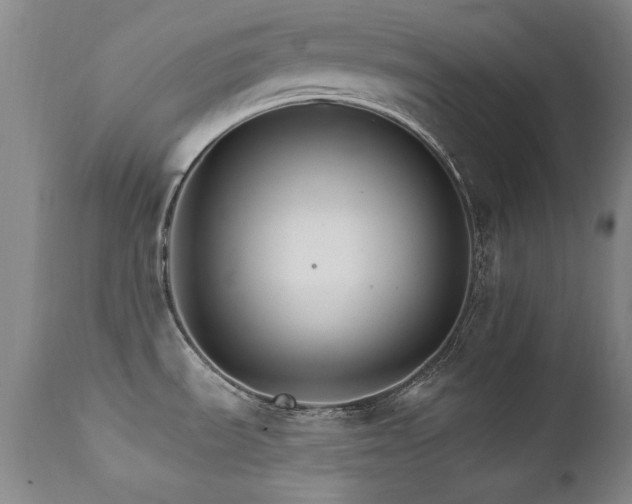 X0000111511535200907141324