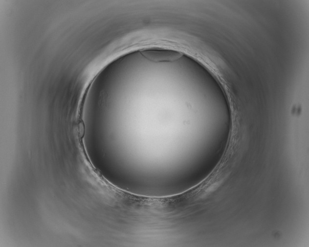 X0000111511536200907141324