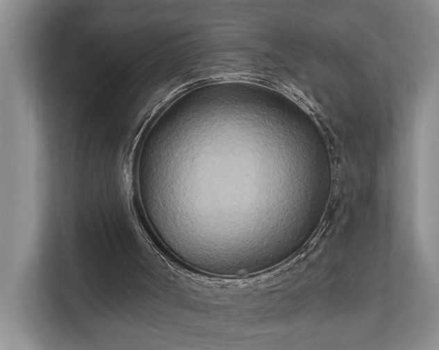 X0000111510002200907211213