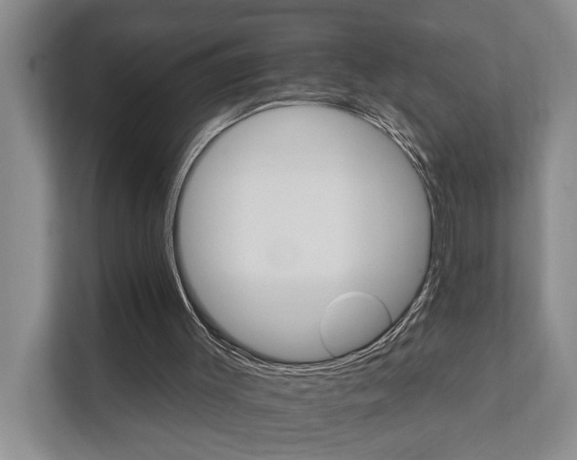 X0000111510003200907211213