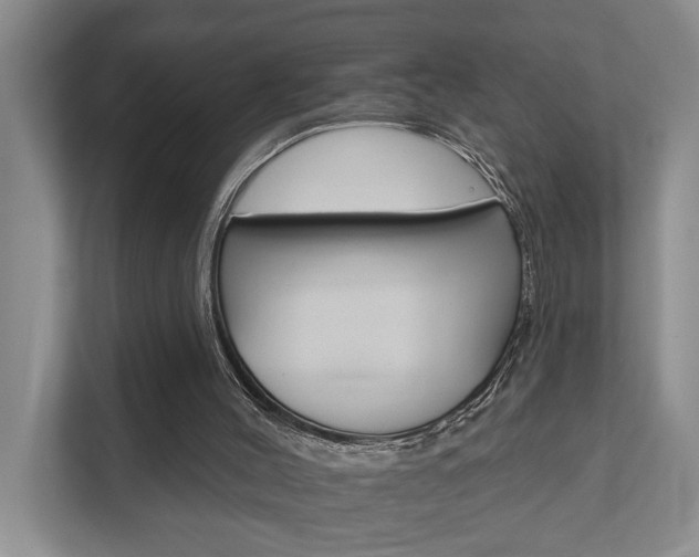 X0000111510004200907211213