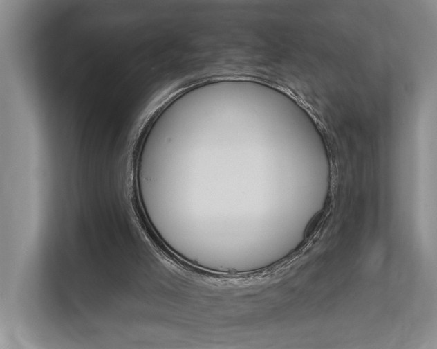 X0000111510005200907211213