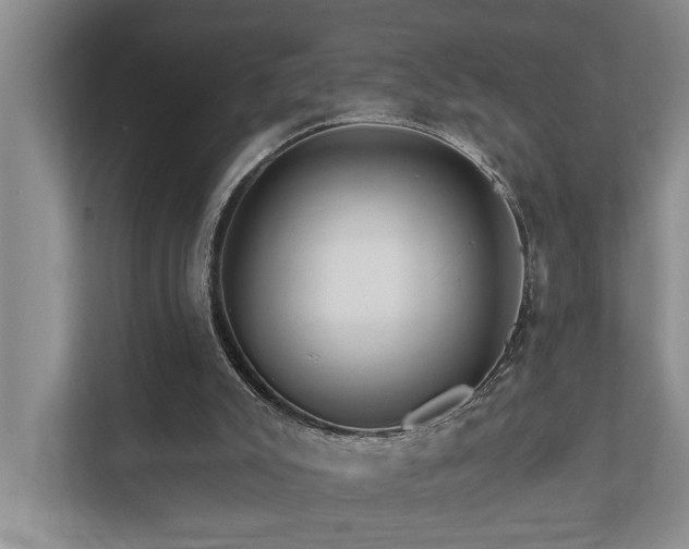 X0000111510007200907211213