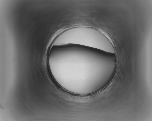 X0000111510008200907211213