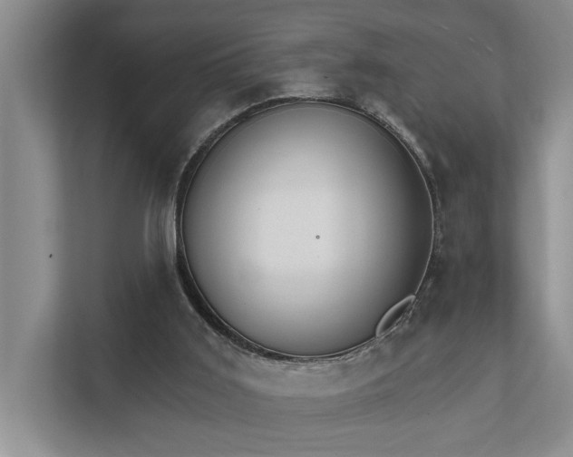 X0000111510011200907211213