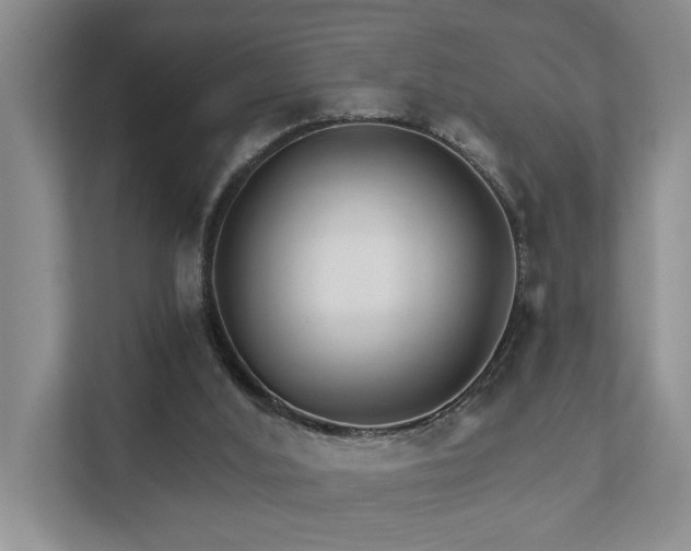 X0000111510012200907211213