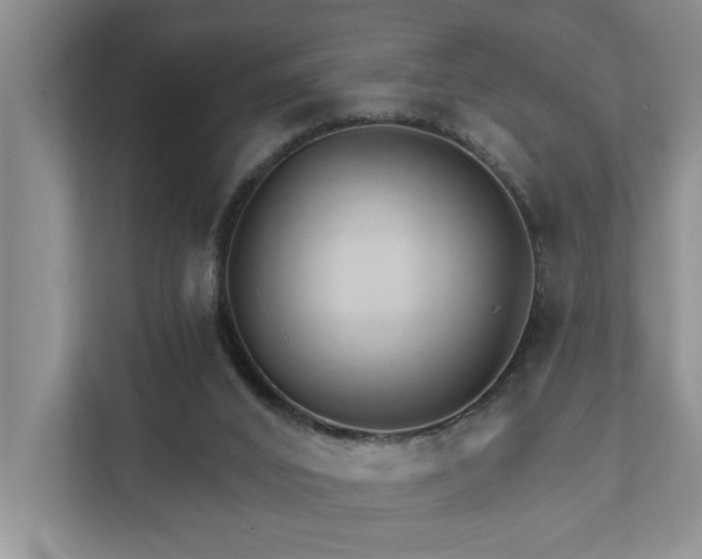 X0000111510016200907211213