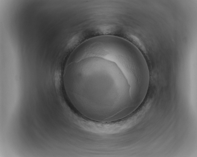 X0000111510018200907211213