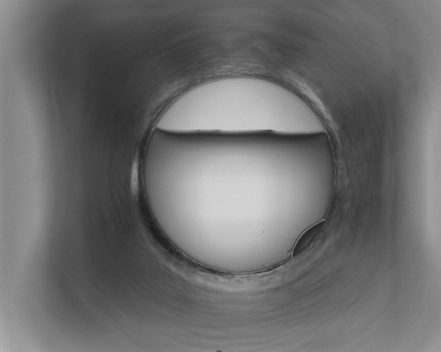 X0000111510019200907211213
