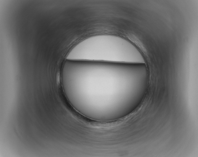 X0000111510021200907211213