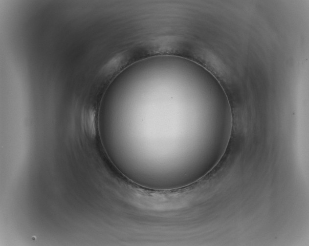 X0000111510022200907211213