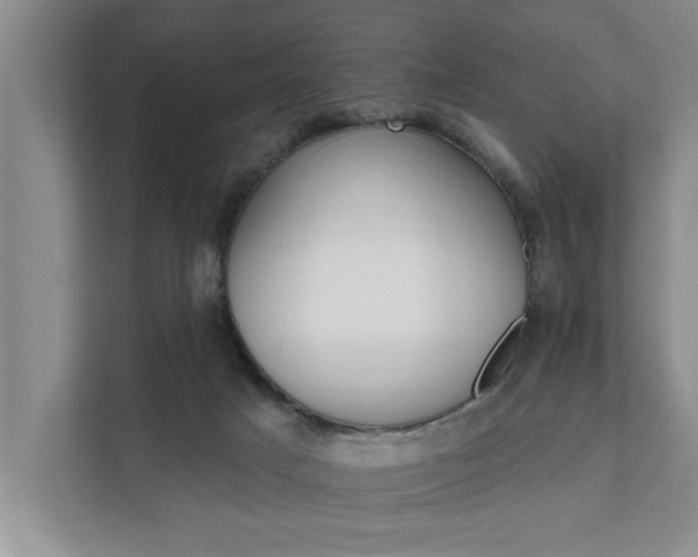 X0000111510025200907211213