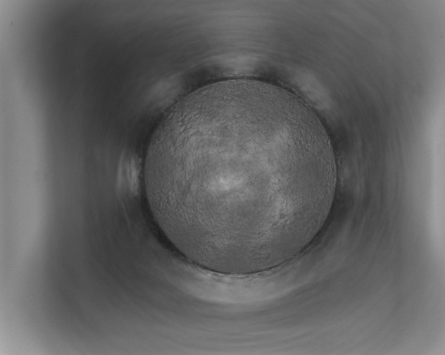 X0000111510026200907211213