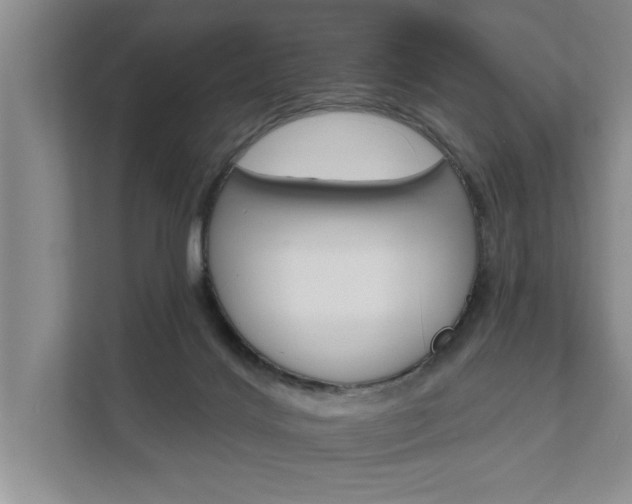 X0000111510028200907211213