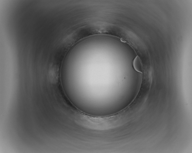 X0000111510030200907211213