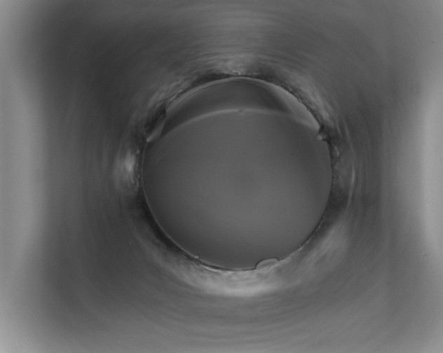 X0000111510031200907211213