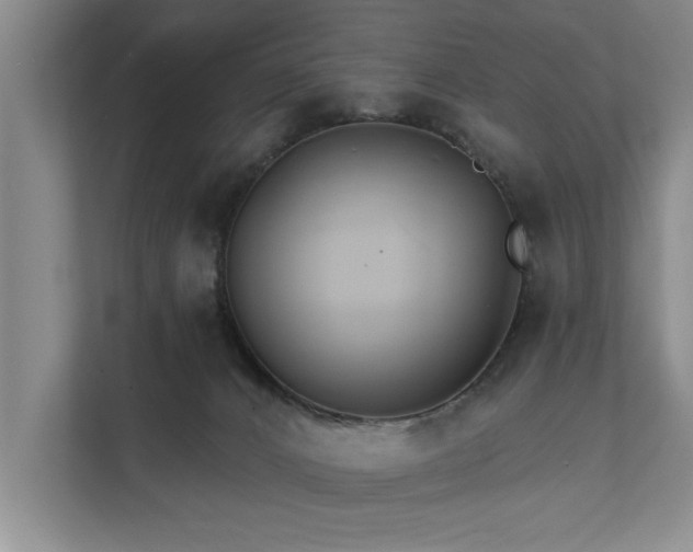 X0000111510032200907211213