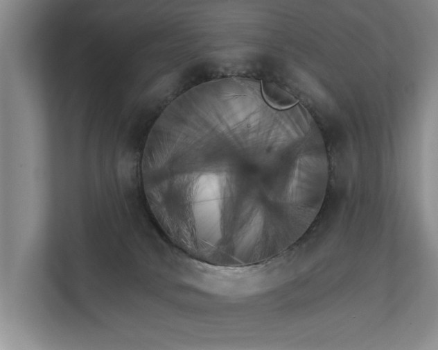 X0000111510034200907211213
