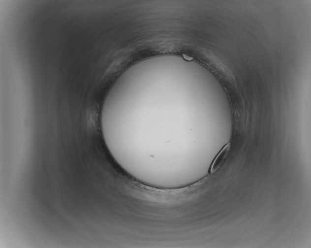 X0000111510035200907211213