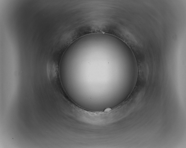 X0000111510038200907211213