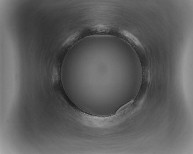 X0000111510039200907211213