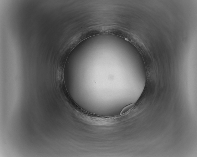 X0000111510044200907211212