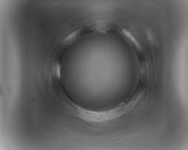 X0000111510046200907211212