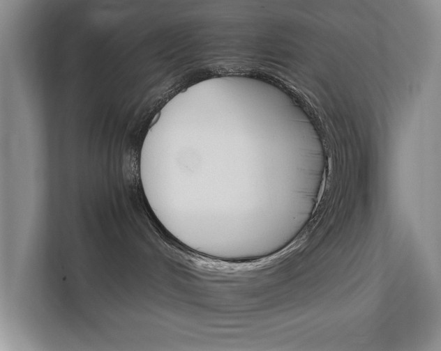 X0000111510048200907211212