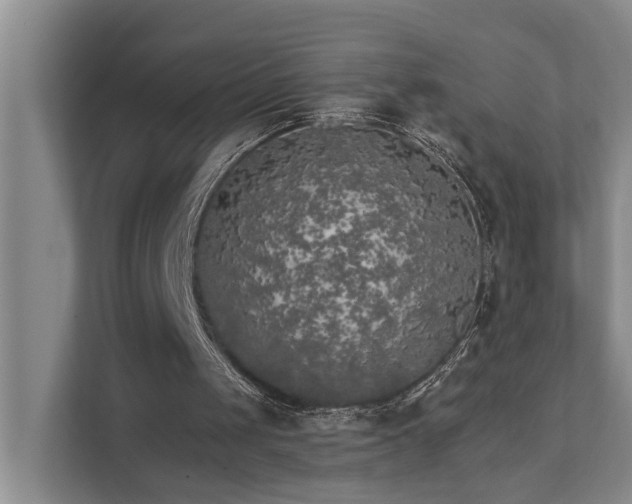 X0000111510049200907211212