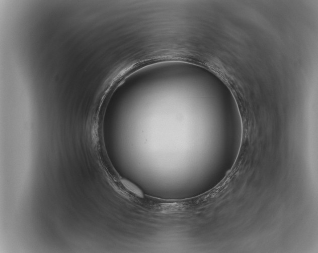 X0000111510050200907211212