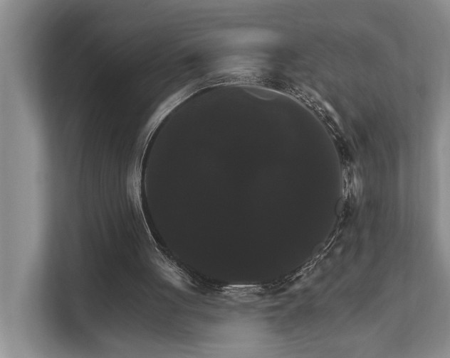 X0000111510051200907211212