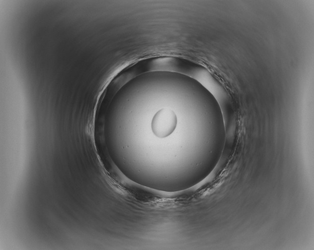 X0000111510052200907211212