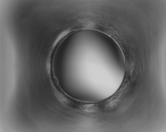 X0000111510054200907211212