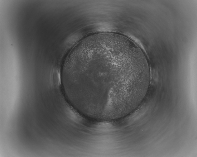 X0000111510061200907211212