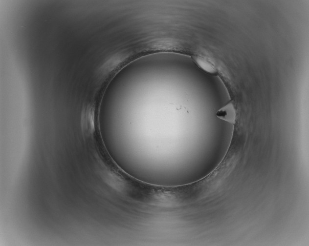 X0000111510062200907211212