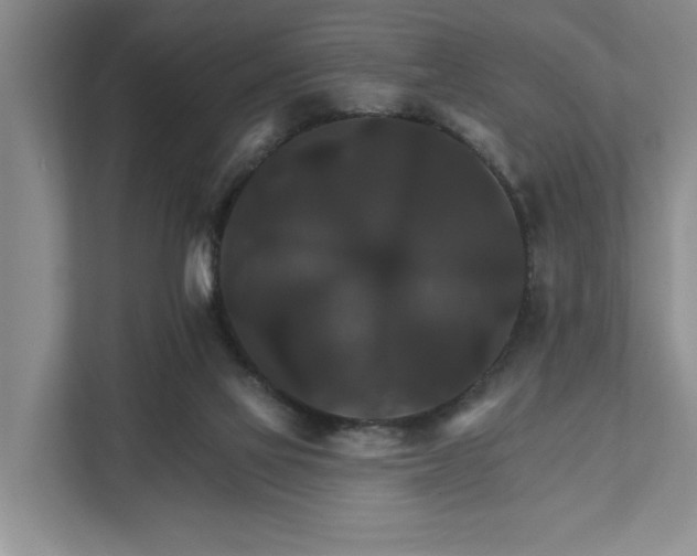 X0000111510069200907211212